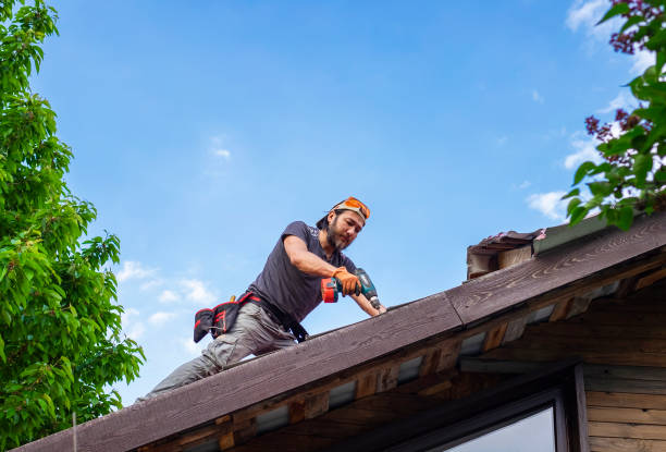 Best Gutter Installation and Repair  in Hamilton City, CA